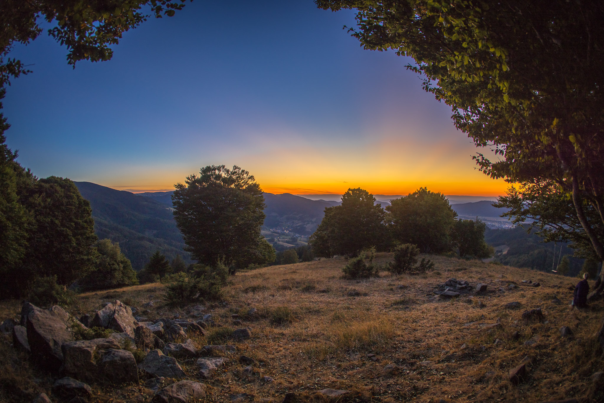 20220813210853 R5D 7142